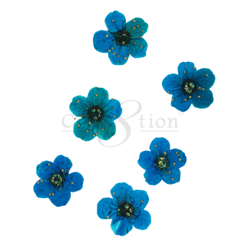 Cre8tion Nail Art Charms, Teal, B018